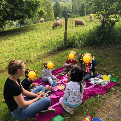Picknick in der Natur